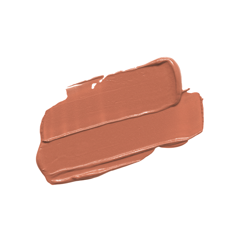 Profusion Cosmetics' creamy nude lipstick swatch in a warm, earthy tone.