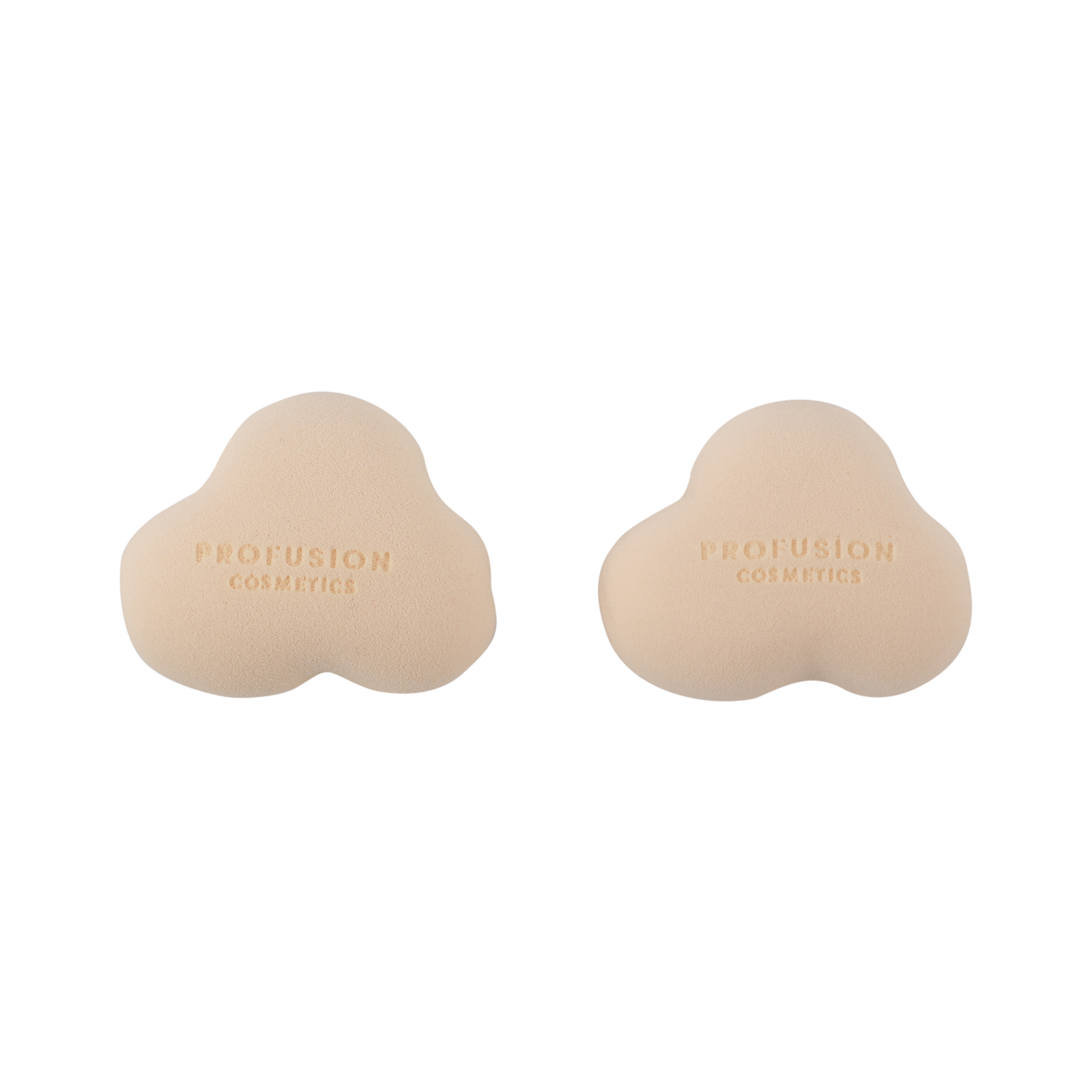 Harry Potter Holiday | Hogwarts™ Express Sponge