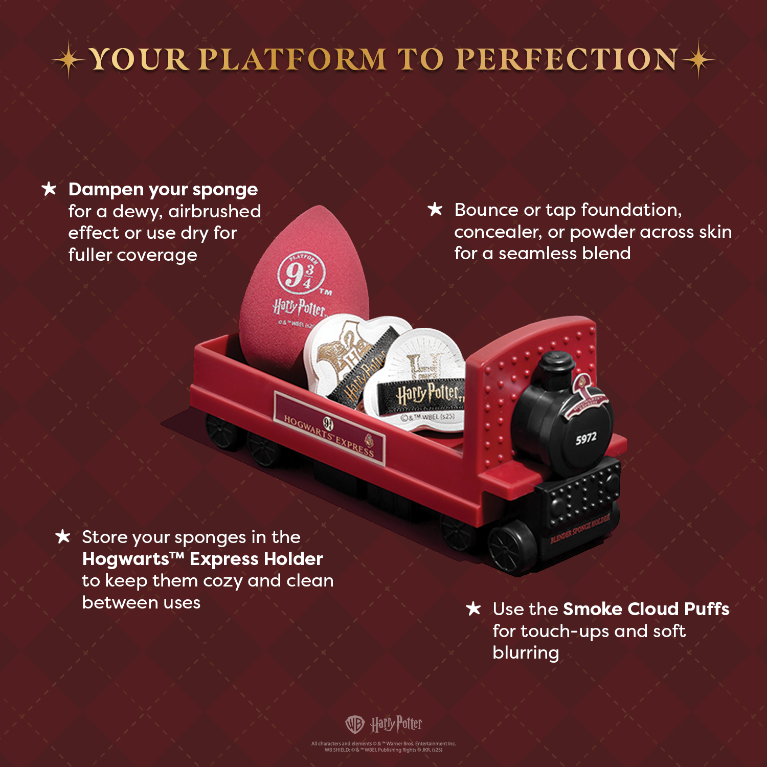 Harry Potter Holiday | Hogwarts™ Express Sponge Set Infographics