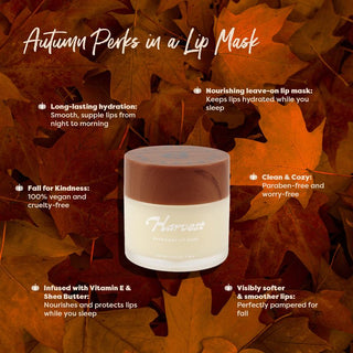 Pumpkin Spice Harvest Overnight Lip Mask Infographics