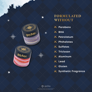Harry Potter Holiday | Hogwarts™ Holiday Night Set Infographics