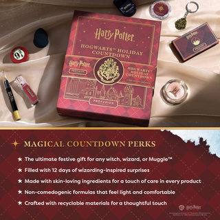 Harry Potter Holiday | Hogwarts Advent Calendar | 12 Days of Holiday Magic Infographics