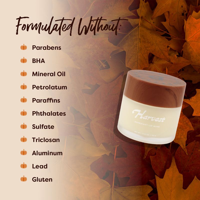Pumpkin Spice Harvest Overnight Lip Mask Call Out
