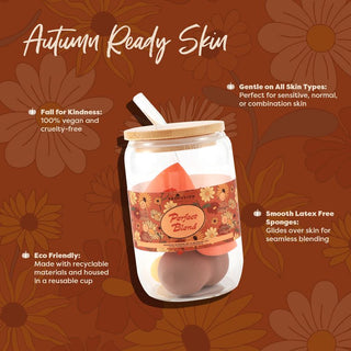  Perfect Blend Sponge Set Infographics