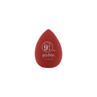 Harry Potter Holiday | Hogwarts™ Express Sponge 