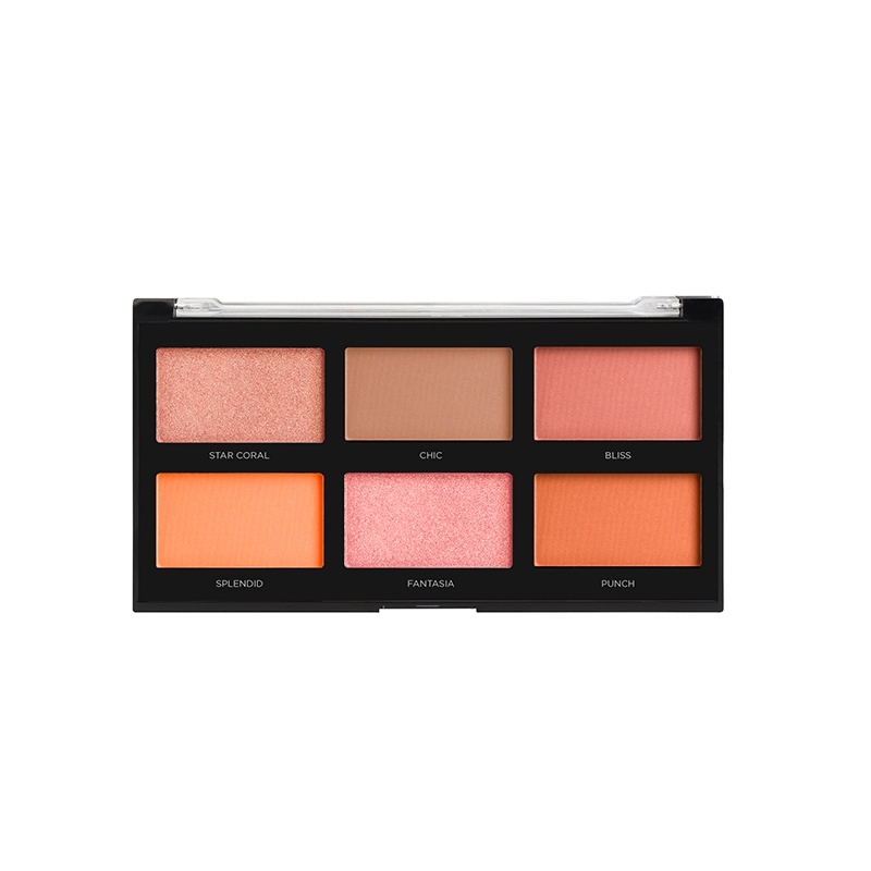 Profusion Blush Palette - Profusion Cosmetics