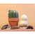 Salvia del desierto | Esponja de maquillaje Blend &amp; Wander con estuche Cactus
